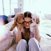 milliebbrownbb