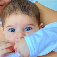 acaredin_gulseveni