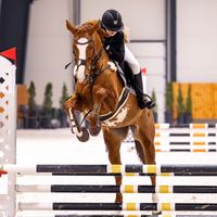 __jkequestrian