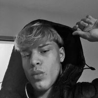 domi13030