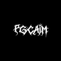 pgcaim_rl