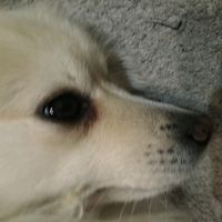 nichi6060