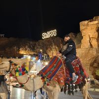 alessandrogiuffrida85