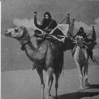 polisario073