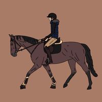 dressage.bubi