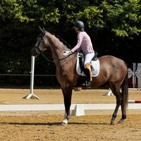 ponysmitdripppp