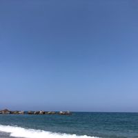 stefi_lotta134