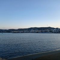 mortyalex94