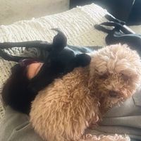 user986436831