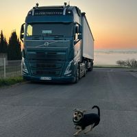 steph.volvo