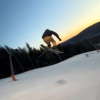 johannes_stene