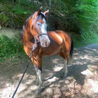 kaliska..emeline