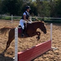 equi.niky