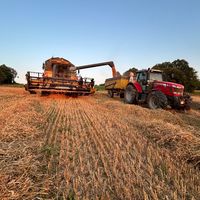 toinousagri