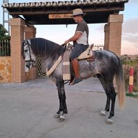 manolo.el.cartame