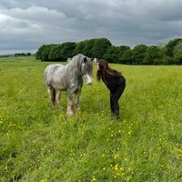 thewaterworthponies