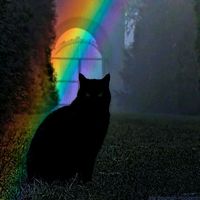 maxthedogsloveromg828639