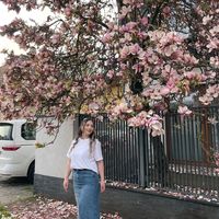 dianachira26