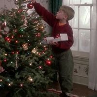 xmaswxshes