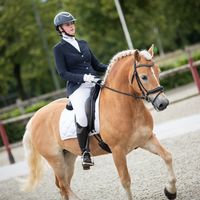 justanotherequeestrian