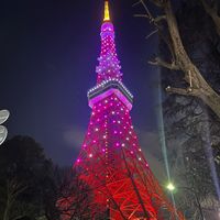 tokyodreams96