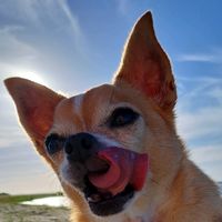 benji.10.years