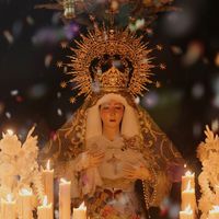 petaladadepasion