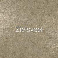 zielsveel